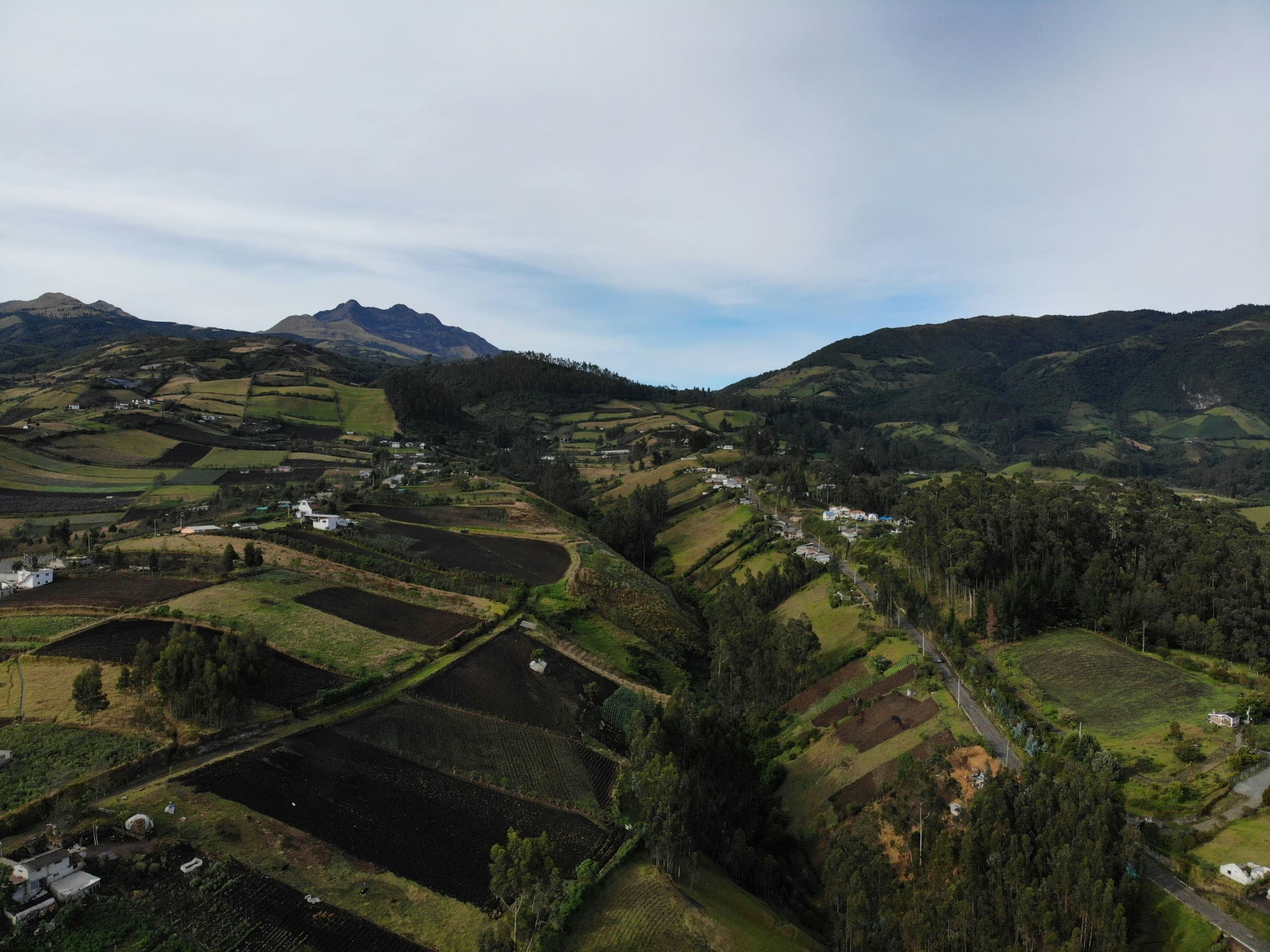 Imagen de fondo para Datos Rurales
