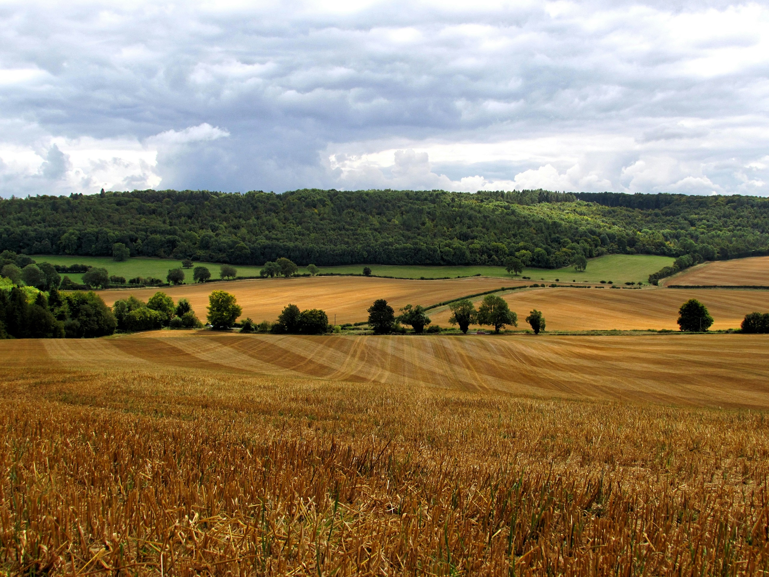 Paisaje Rural